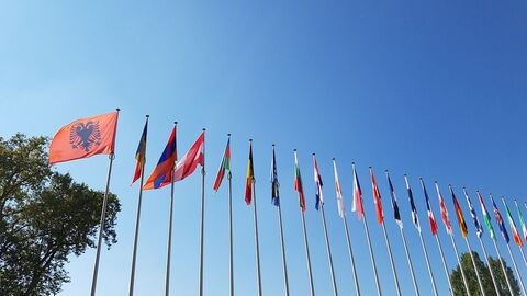 Istanbul-Konvention Flaggen EU