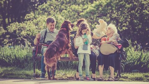 Familie auf Bank