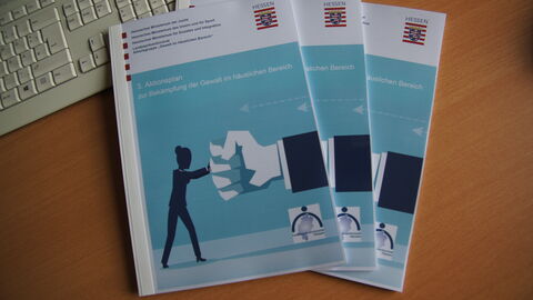 3. Landesaktionsplan zur Bekämpfung von Gewalt im häuslichen Bereich